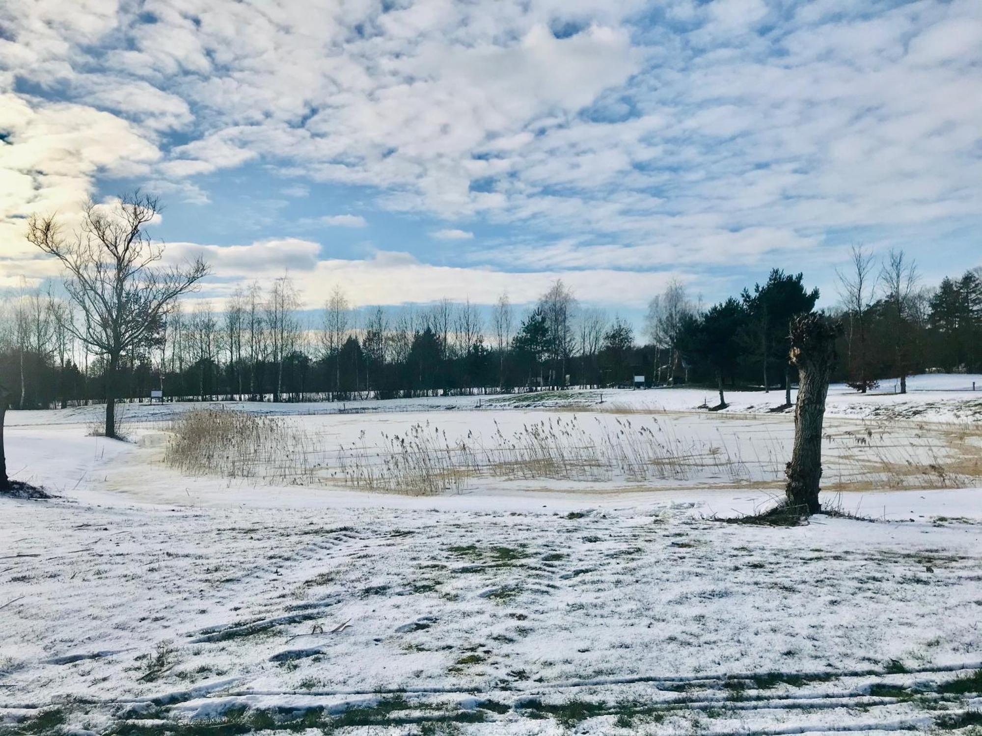 De Appelhoeve Appelscha Kültér fotó
